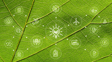 Green leaf with ecology concept and renewable energy icons, close-upの写真素材