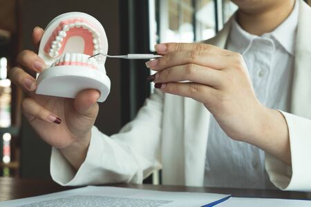 The dentist has shown the use of dental tools with  samples tooth model in the clinic. Orthodontic dental professional.の写真素材