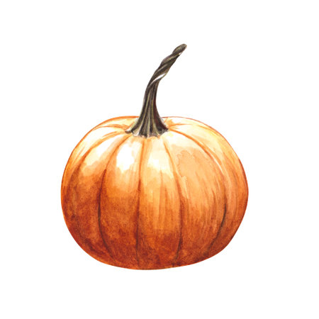 Pumpkin isolated on white background. Watercolor hand drawn illustration orange pumpkin. Clipart for cards and invitations for autumn and Halloweenの写真素材