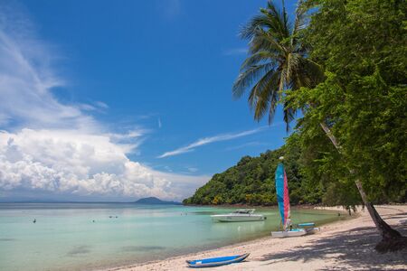 Shore with coconut tree with cloud and blue sky in backgroundのeditorial素材