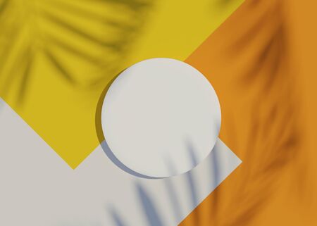 3d render top view of white blank cylinder frame for mock up and display products with shadows of palm leaves and white yellow and orange color background. Creative idea concept.の写真素材
