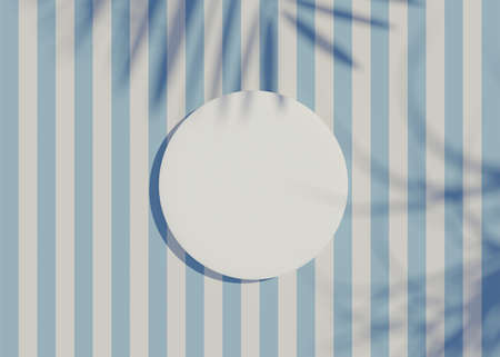 3d render top view of white blank cylinder frame for mock up and display products with shadows of palm leaves and white blue background. Creative idea concept.の写真素材