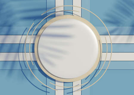 3d render top view of white blank cylinder frame for mock up and display products with shadows of palm leaves and white blue background. Creative idea concept.の写真素材