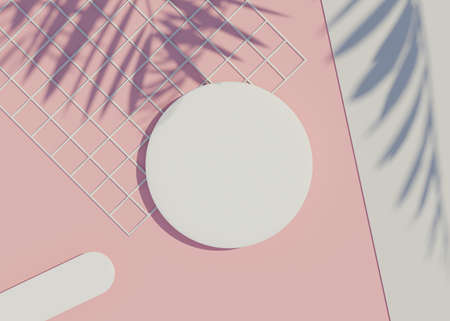 3d render top view of white blank cylinder frame for mock up and display products with shadows of palm leaves and white blue background. Creative idea concept.の写真素材