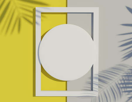3d render top view of white blank cylinder frame for mock up and display products with shadows of palm leaves and white blue background. Creative idea concept.の写真素材