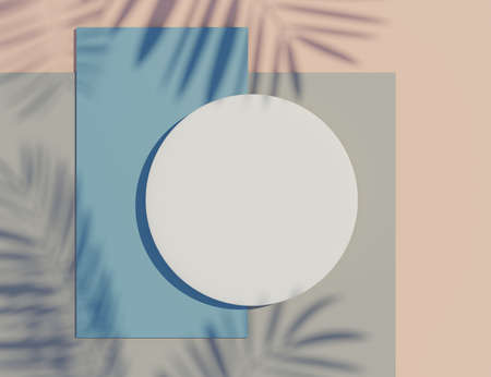3d render top view of white blank cylinder frame for mock up and display products with shadows of palm leaves and earth tone background. Creative idea concept.の写真素材