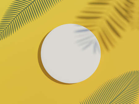 3d render top view of white blank cylinder frame for mock up and display products with summer beach scene and shadow of palm leaves. Summer time season background with beach vacation concept.の写真素材