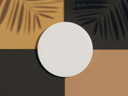 3d render top view of white blank cylinder frame for mock up and display products with shadows of palm leaves and earth tone background. Creative idea concept.の写真素材