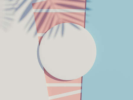 3d render top view of white blank cylinder frame for mock up and display products with shadows of palm leaves and earth tone background. Creative idea concept.の写真素材