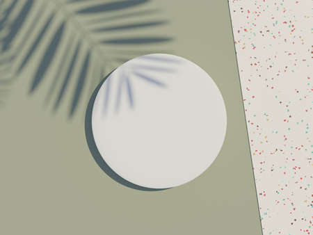 3d render top view of white blank cylinder frame for mock up and display products with shadows of palm leaves, earth tone, and terrazzo wall background. Creative idea concept.の写真素材