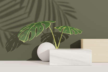 3d render of abstract pedestal podium display with terrazzo and Monstera leaves. Product and promotion concept for advertising. Green natural background.の写真素材