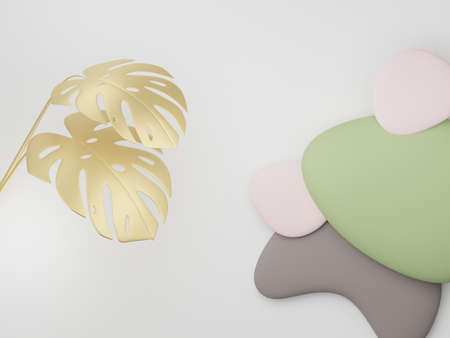3d render of premium abstract geometric shapes and pastel luxury gravel decor with tropical leaves on white background.の写真素材