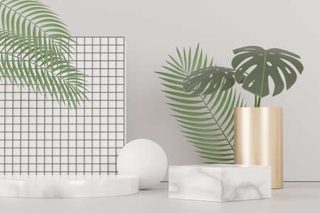3d render of abstract pedestal podium display with Tropical Monstera leaves. Product and promotion concept for advertising. Green natural background.の写真素材