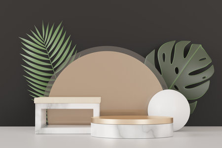 3d render of abstract pedestal podium display with Tropical Monstera leaves. Product and promotion concept for advertising. Green natural background.の写真素材