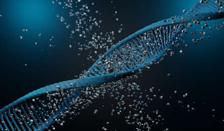 3d render Helix complementary strand of DNA of RNA. Sequences genetic code or genome. Gene expression. nucleotide database. The Central Dogma process of transcription and translation. Human gene.の写真素材