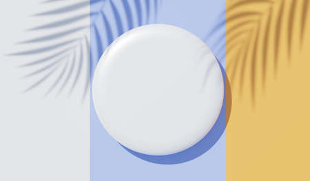 3d render top view of white blank cylinder frame for mock up and display products with shadows of palm leaves, earth tone, and pastel wall background. Creative idea concept. Widow shadow.の写真素材