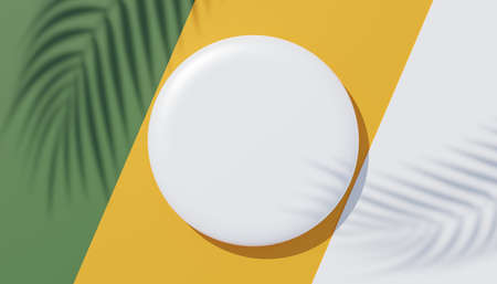 3d render top view of white blank cylinder frame for mock up and display products with shadows of palm leaves, earth tone, and pastel wall background. Creative idea concept. Widow shadow.の写真素材