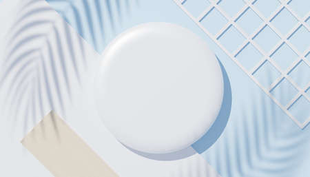 3d render top view of white blank cylinder frame for mock up and display products with shadows of palm leaves, earth tone, and pastel wall background. Creative idea concept. Widow shadow.の写真素材
