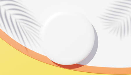 3d render top view of white blank cylinder frame for mock up and display products with shadows of palm leaves, earth tone, and pastel wall background. Creative idea concept. Widow shadow.の写真素材