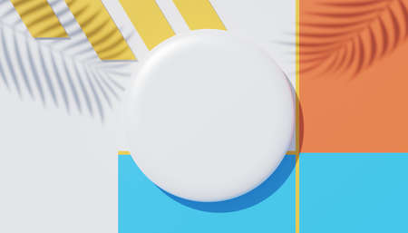3d render top view of white blank cylinder frame for mock up and display products with shadows of palm leaves, earth tone, and pastel wall background. Creative idea concept. Widow shadow.の写真素材