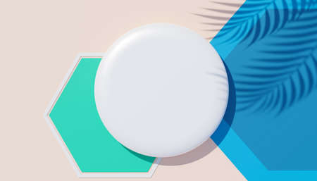 3d render top view of white blank cylinder frame for mock up and display products with shadows of palm leaves, earth tone, and pastel wall background. Creative idea concept. Widow shadow.の写真素材