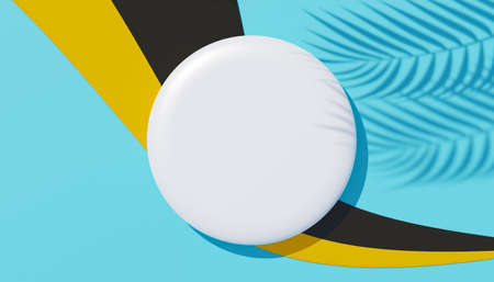 3d render top view of white blank cylinder frame for mock up and display products with shadows of palm leaves, earth tone, and pastel wall background. Creative idea concept. Widow shadow.の写真素材