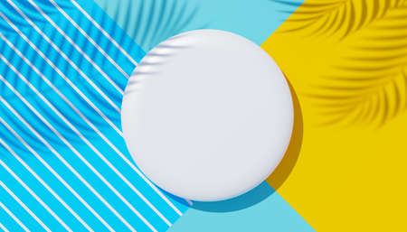 3d render top view of white blank cylinder frame for mock up and display products with shadows of palm leaves, earth tone, and pastel wall background. Creative idea concept. Widow shadow.の写真素材