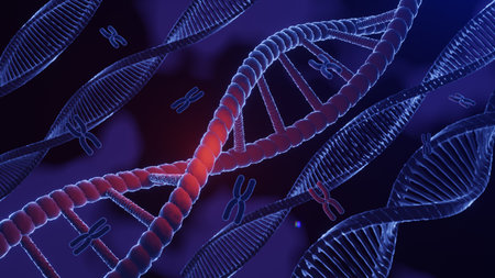 DNA spiral structure. DNA Helix complementary strand of  Sequences genetic code or genome. Gene expression. nucleotide database. The Central Dogma process of transcription and translation. 3D Render.の写真素材