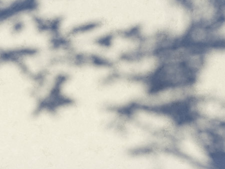 3d render of shadow leaves on concrete wall backgrounds, tropical plant leaves, natural relaxation...