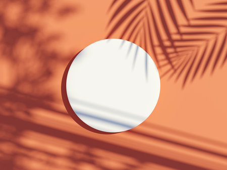 3d render top view of white blank cylinder frame for mock up and display products with shadows of palm leaves with summer background. Creative idea concept.の写真素材