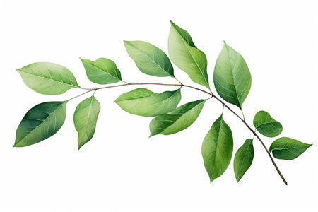 Watercolor of Tropical spring floral green leaves and flowers elements isolated on white background, bouquets greeting or wedding card decoration, with Generative Ai.の素材