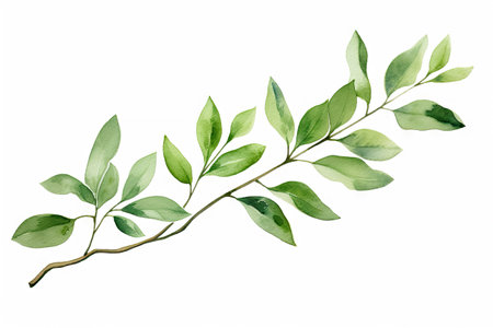 Watercolor of Tropical spring floral green leaves and flowers elements isolated on white background, bouquets greeting or wedding card decoration, with Generative Ai.の素材