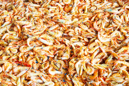 Steamed and sun dried shrimpの写真素材