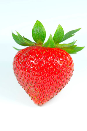 Single strawberry on isolated white background in studio shot.の写真素材