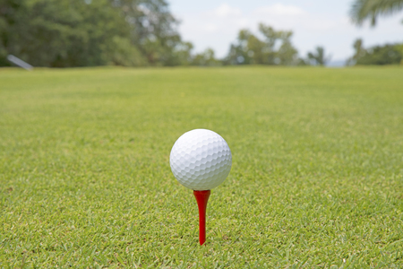 Close up of golf ball on the green grassの写真素材