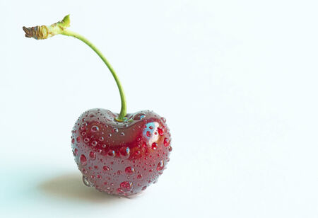 Single cherry with water drops on the white backgroundの写真素材
