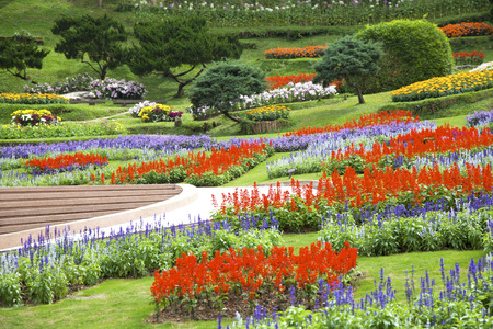 Park with many kind of tropical flowersの写真素材