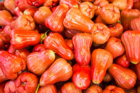 rose appleの写真素材