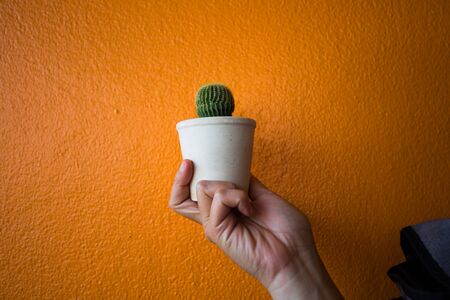 Hands holding objectsの写真素材