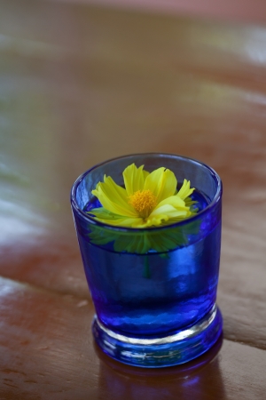 blue grass and yellow flowerの写真素材