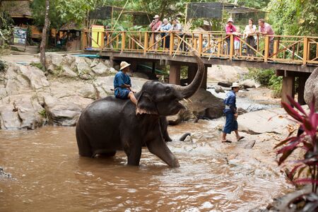 Thai elephant daily bath in Chiangmai province, Thailandのeditorial素材