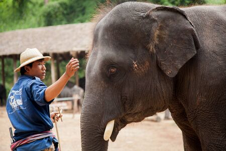 Elephant rider in nort of Thailand のeditorial素材