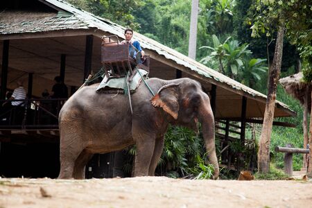 Elephant rider in nort of Thailand のeditorial素材