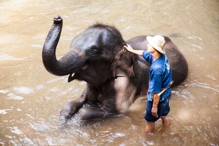 Thai elephant daily bath in Chiangmai province, Thailandのeditorial素材