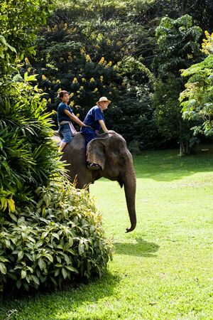 Elephant riding for tourists in nort of Thailand のeditorial素材