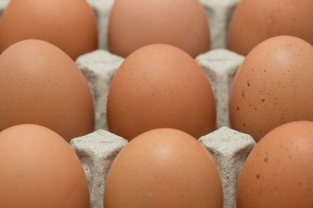 Chicken brown eggs, closeup view backgroundの写真素材