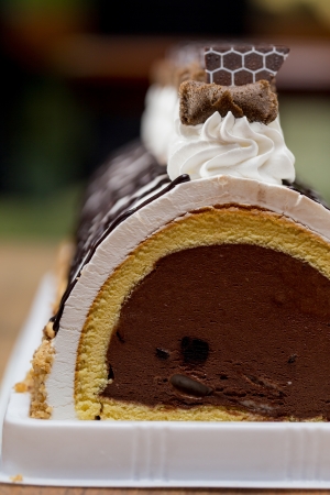 chocolate ice cream cake rollの写真素材