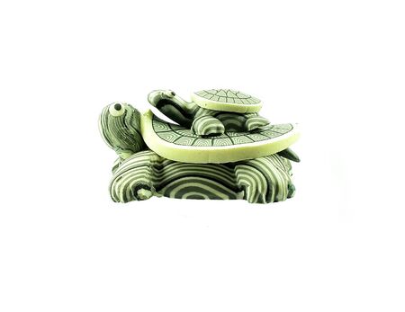 turtleの写真素材