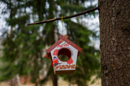 bird feederの写真素材