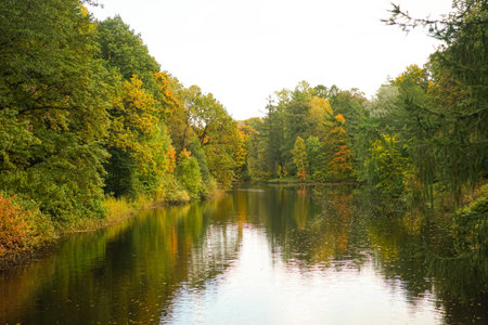 golden autumn in the parkの写真素材